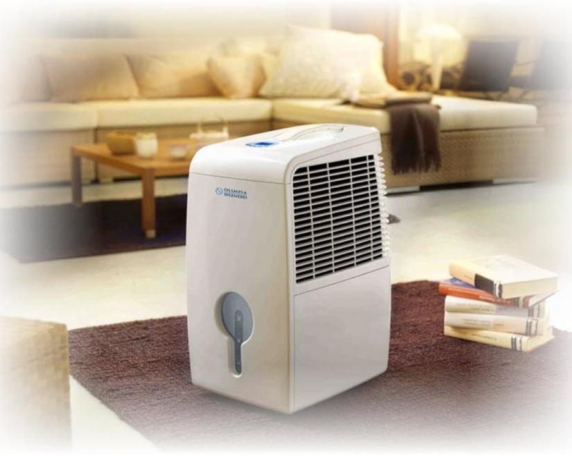 Бытовой осушитель воздуха: техника, позволяющая избавиться от плесени и повышенной влажности в квартире