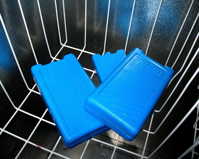 Аккумуляторы холода для термосумок и холодильников: чем отличаются и как выбрать